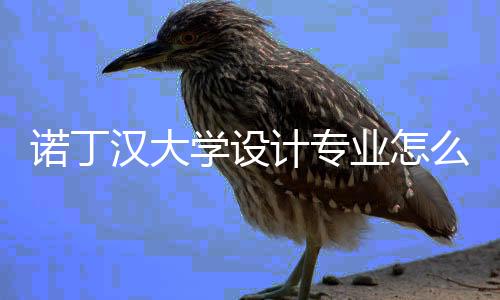 诺丁汉大学设计专业怎么样？