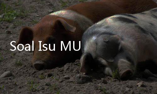 Soal Isu MUI DKI
