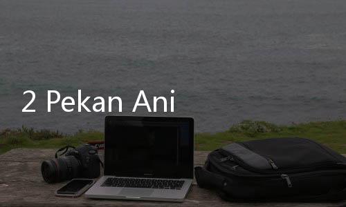 2 Pekan Anies PSBB, Pasien Positif Corona di Jakarta Hampir 4.000 Orang